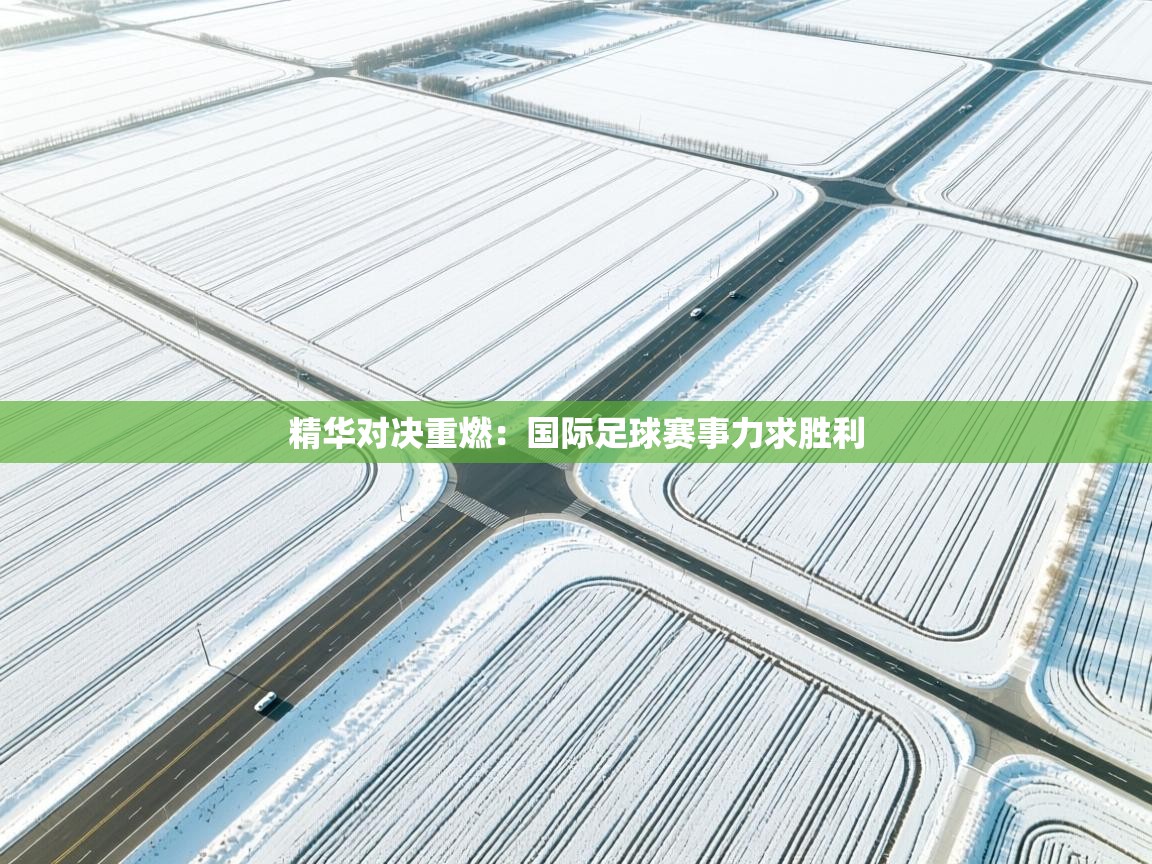 精华对决重燃：国际足球赛事力求胜利  第2张