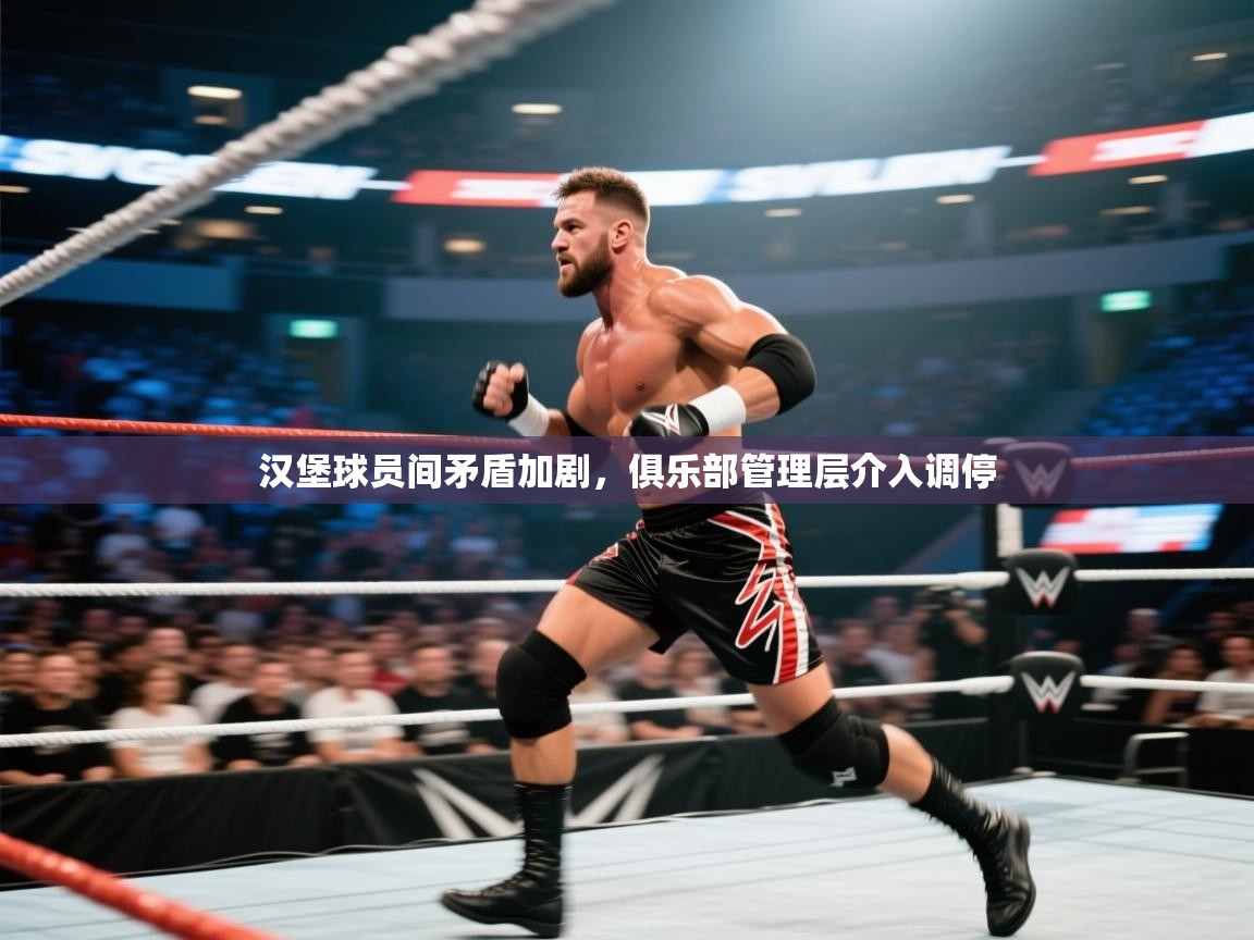 汉堡球员间矛盾加剧,俱乐部管理层介入调停 第1张