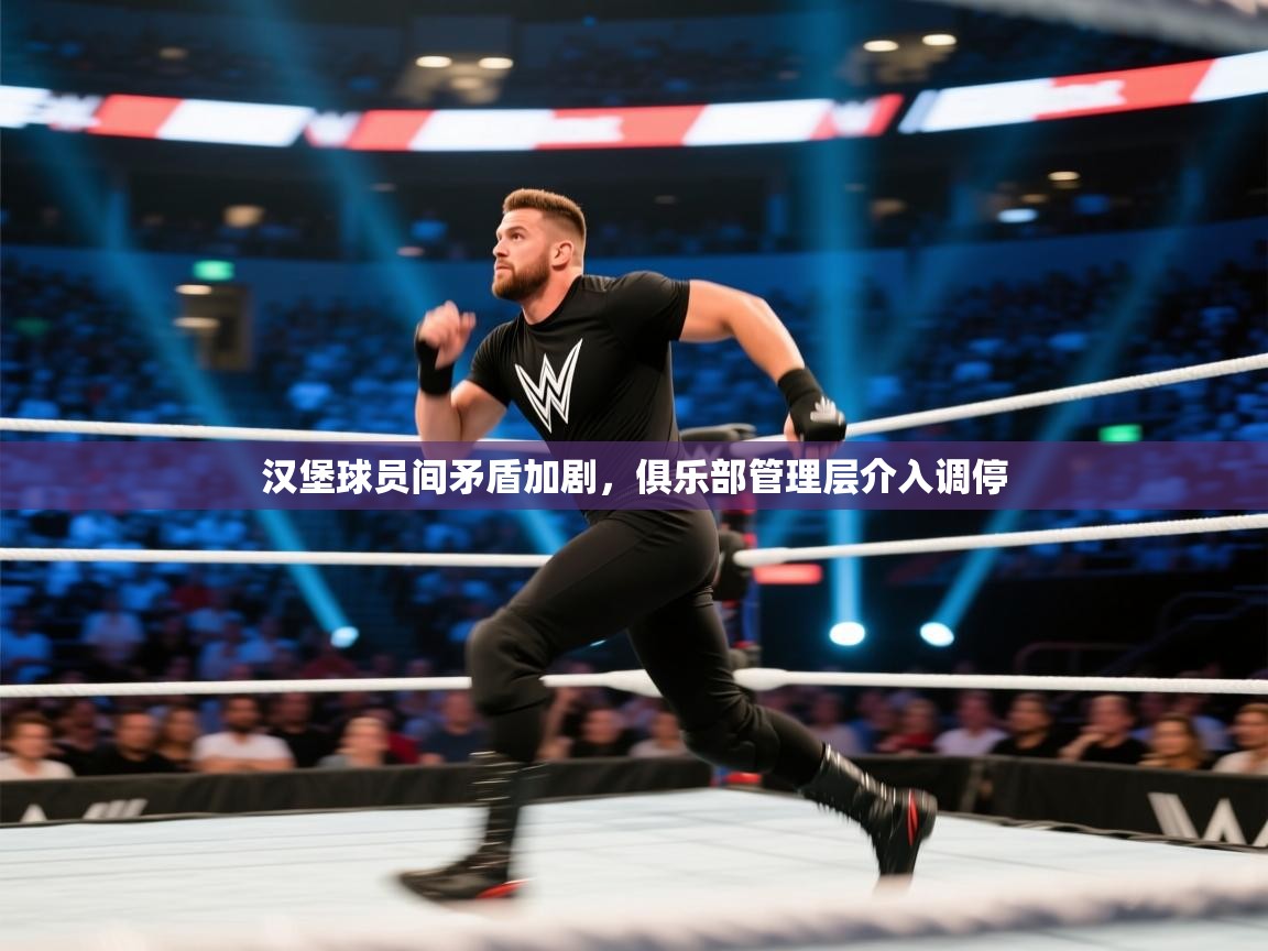 汉堡球员间矛盾加剧,俱乐部管理层介入调停 第2张