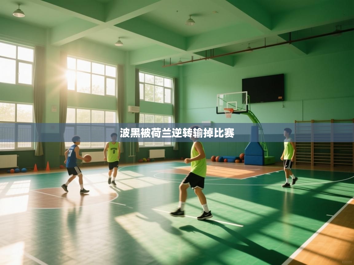 波黑被荷兰逆转输掉比赛